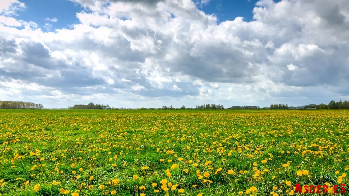 Поехали в область