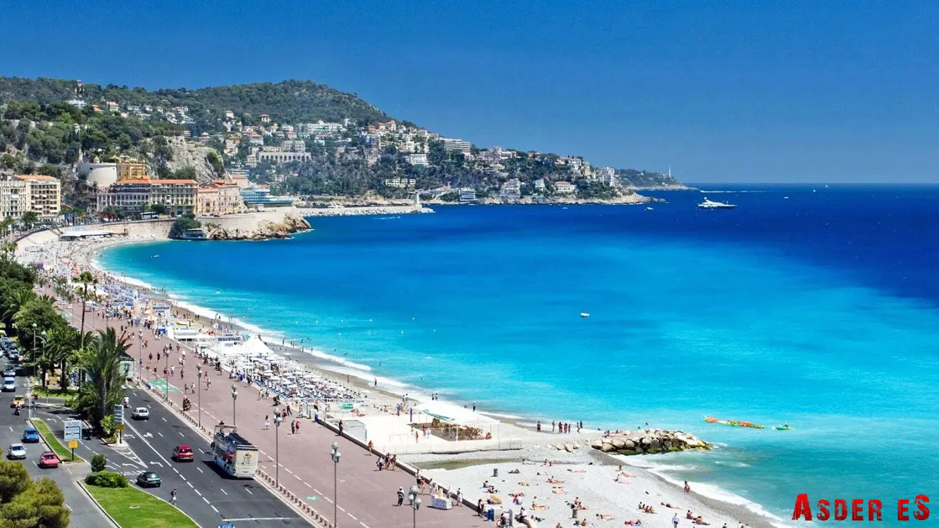 Мозгоправ настаивал