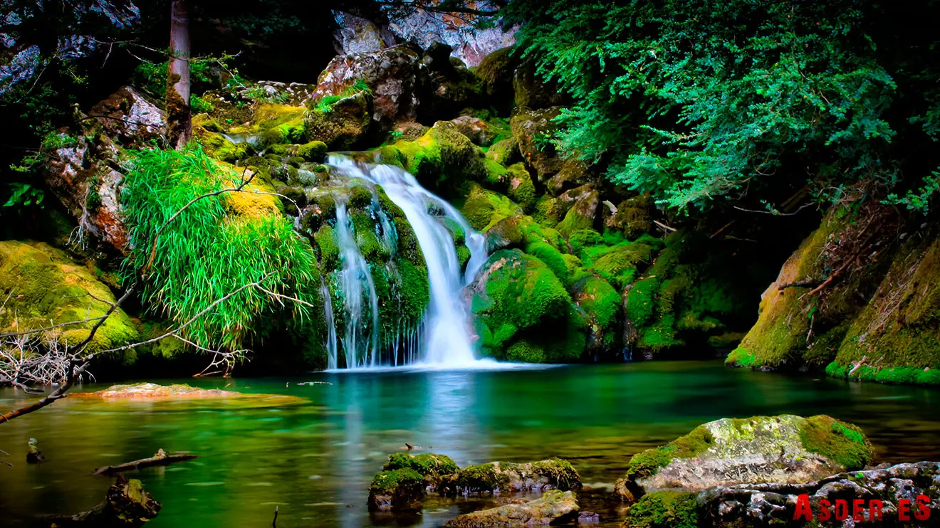 Тотально синий