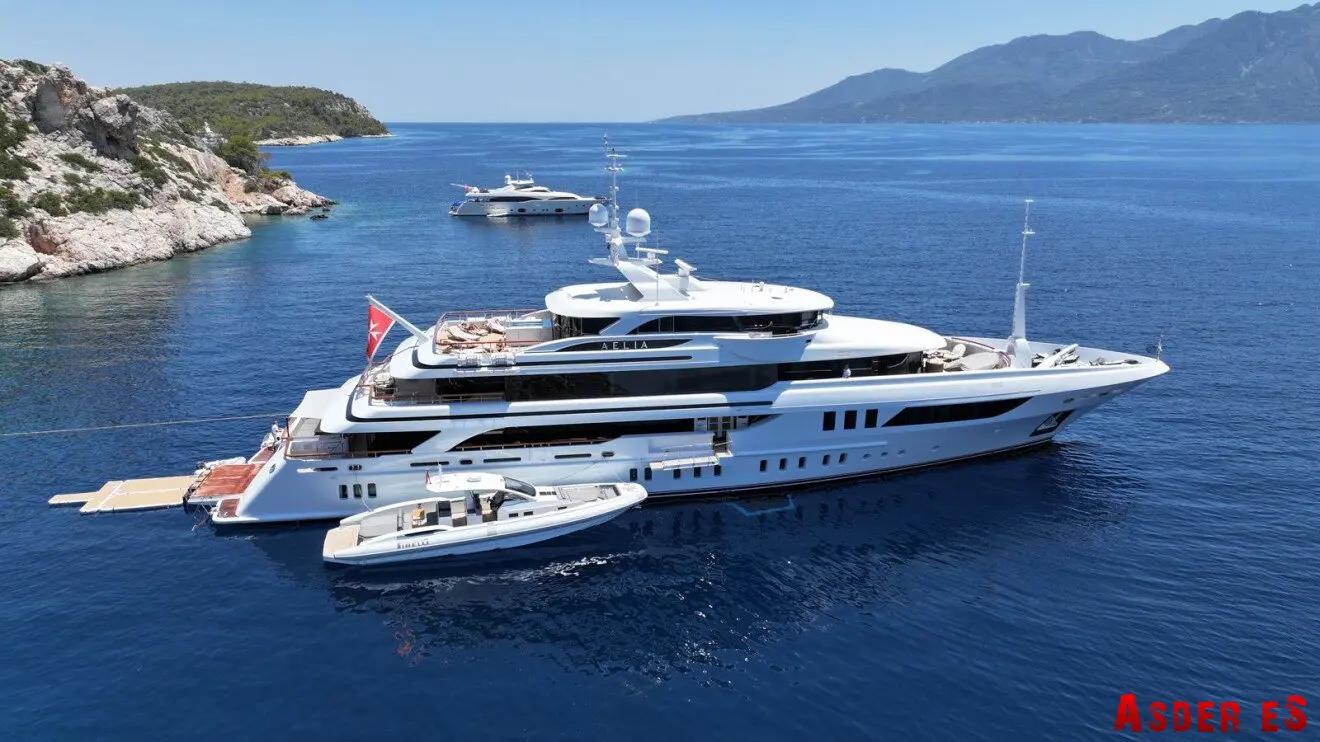 Проснулся от команды