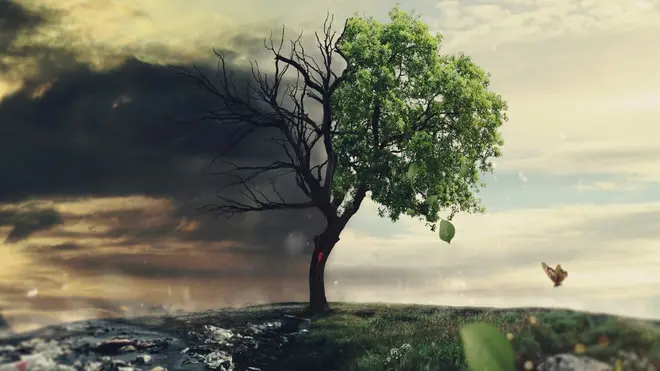 Изображение контента