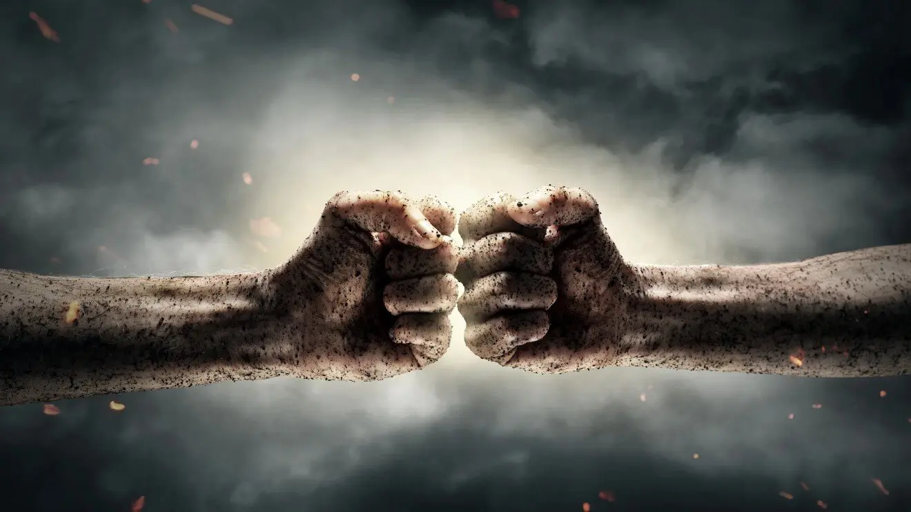 Ордо анима рерум ест