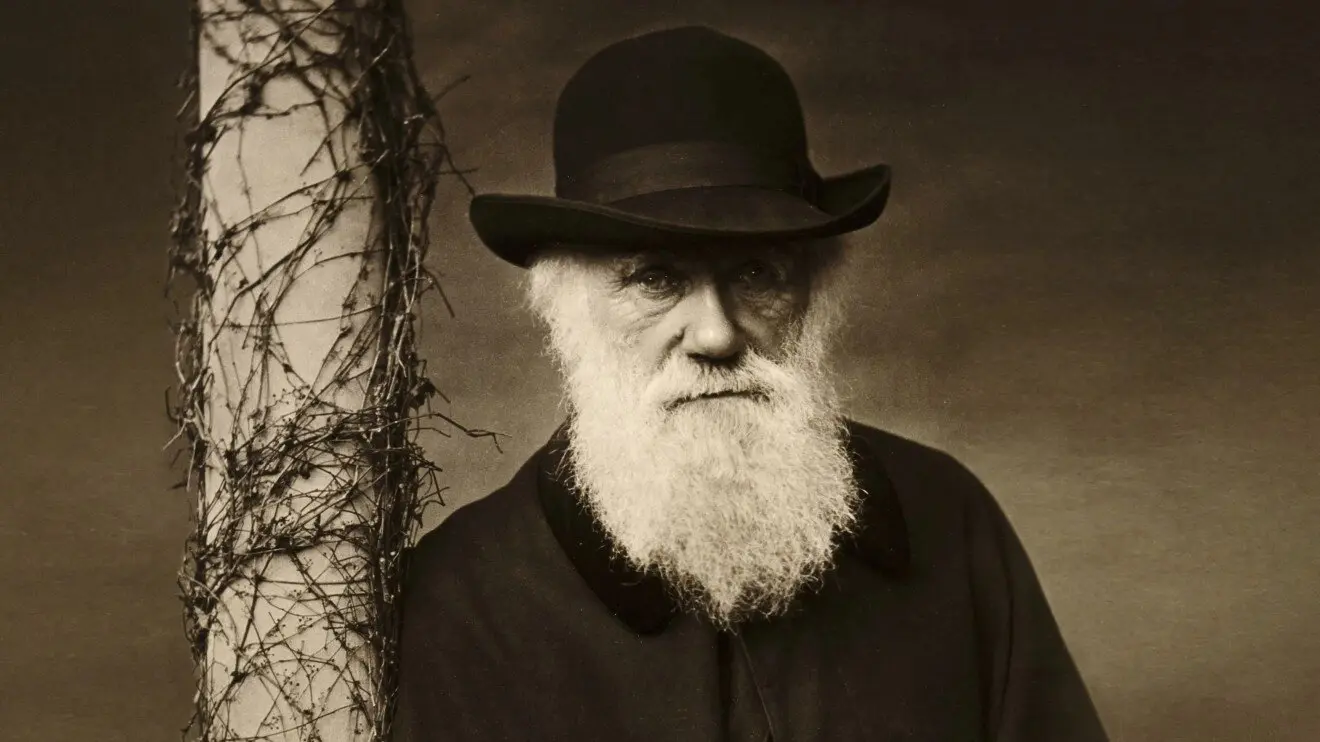 Теория Дарвина