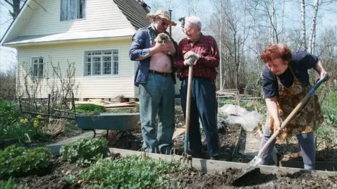 Садово-огородные шесть соток