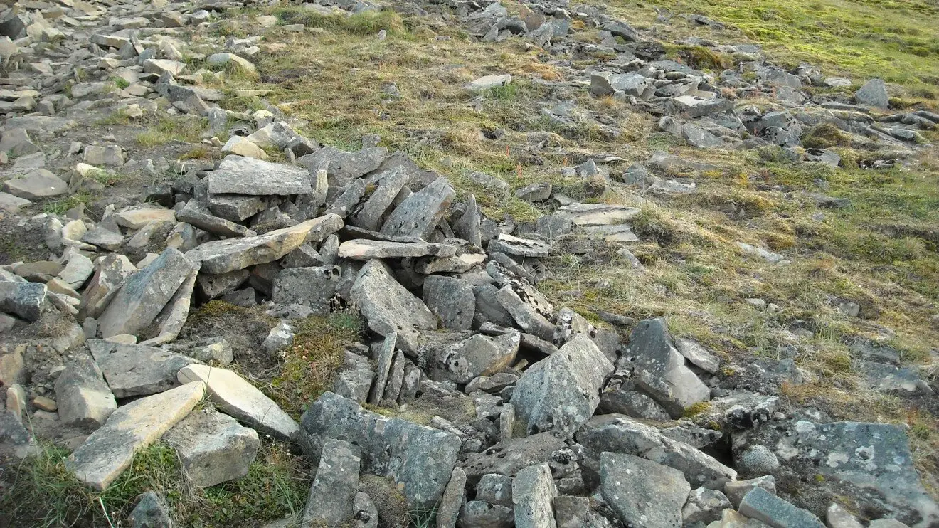 Курумы
